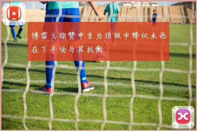 博雷戈称赞申京为顶级中锋仅米西在下半场与其抗衡